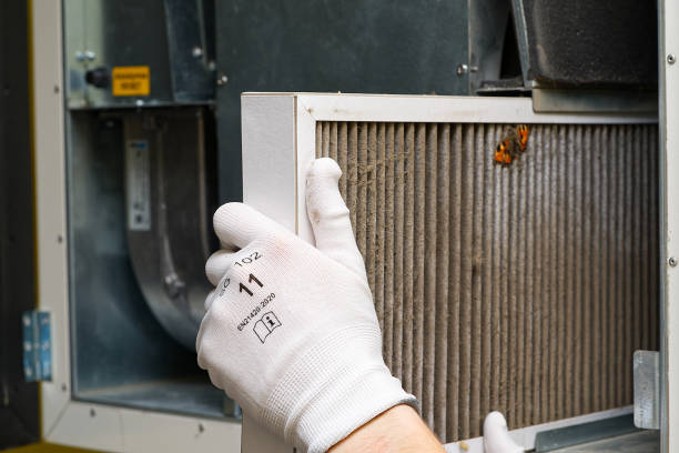 Best HVAC System Cleaning  in Pingree Grove, IL