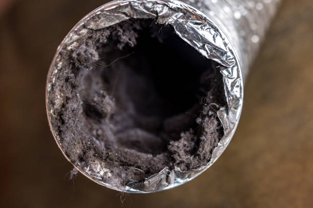 Best Ventilation Cleaning Services  in Pingree Grove, IL