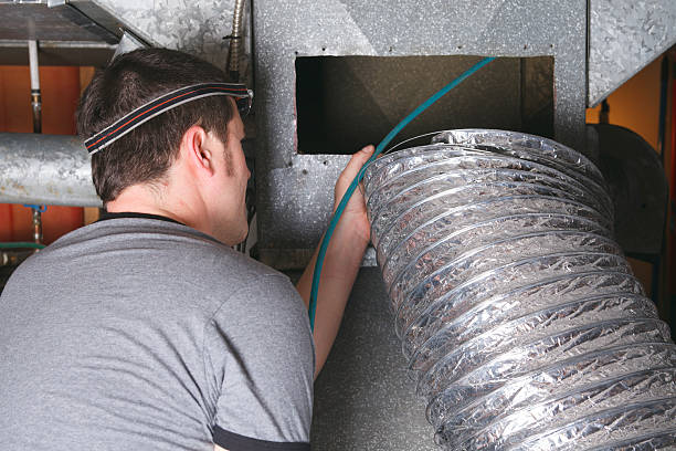 Best HVAC Duct Inspection Services  in Pingree Grove, IL