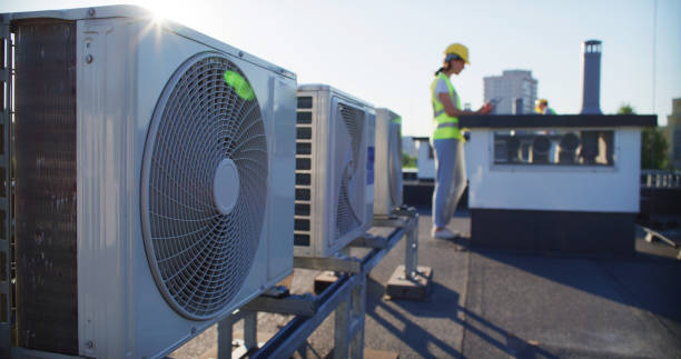 Best Air Duct Mold Removal  in Pingree Grove, IL
